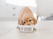 Pharmapet alimentacion perros